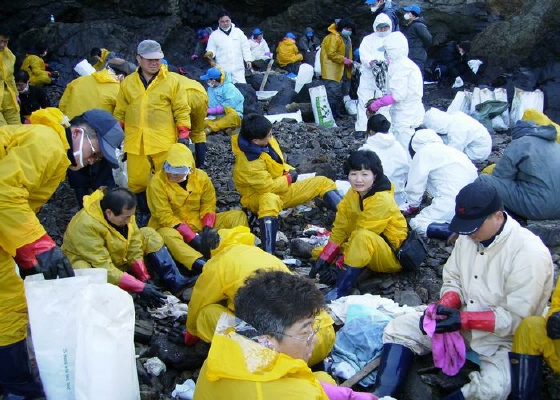 태안군 원유유출지 피해복구 자원봉사활동