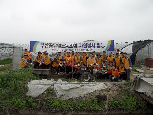 농촌일손돕기 자원봉사 활동보고 